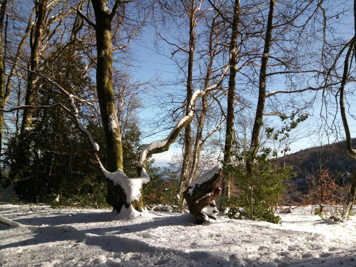 B&B Fromenteau Ternant  Bagian luar foto